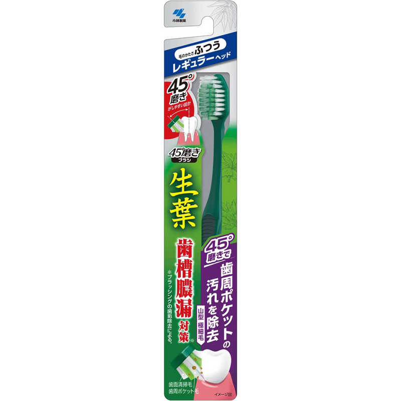 小林製薬 小林製薬 生葉 歯ブラシ 45°磨きブラシ レギュラー ふつう  