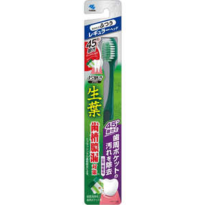 小林製薬 生葉 歯ブラシ 45°磨きブラシ レギュラー ふつう 