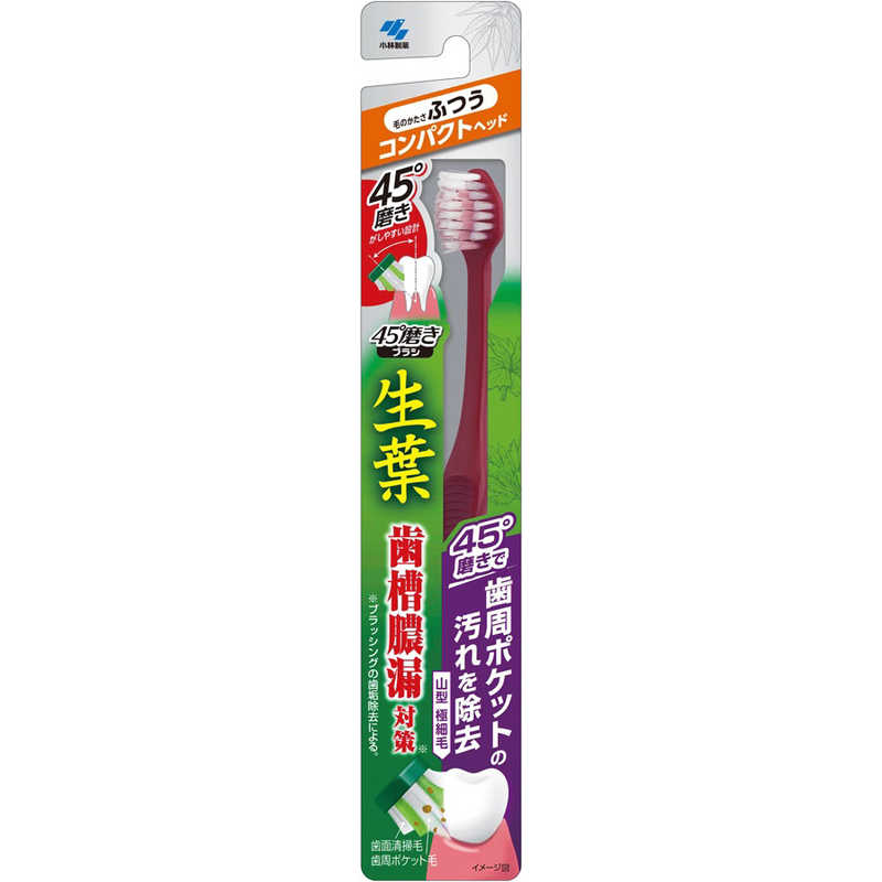 小林製薬 小林製薬 生葉 歯ブラシ 45°磨きブラシ コンパクト ふつう  