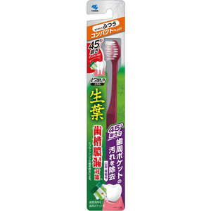 小林製薬 生葉 歯ブラシ 45°磨きブラシ コンパクト ふつう