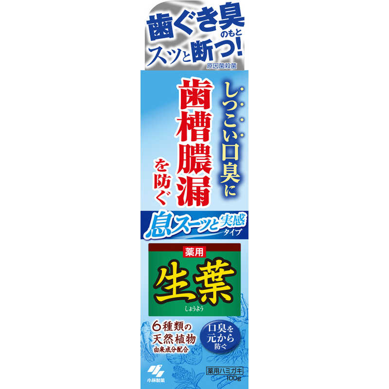 小林製薬 小林製薬 生葉　生葉Ｉ息スーッと実感　１００ｇ  