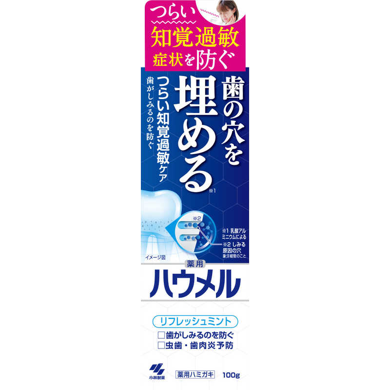 小林製薬 小林製薬 ハウメル 100g  