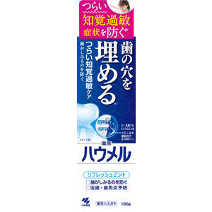 小林製薬 ハウメル 100g 