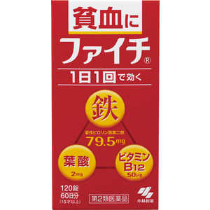 小林製薬 【第2類医薬品】 ファイチ（120錠）