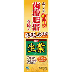 小林製薬 生葉 歯磨き粉 ひきしめ生葉 しょうよう 100g 