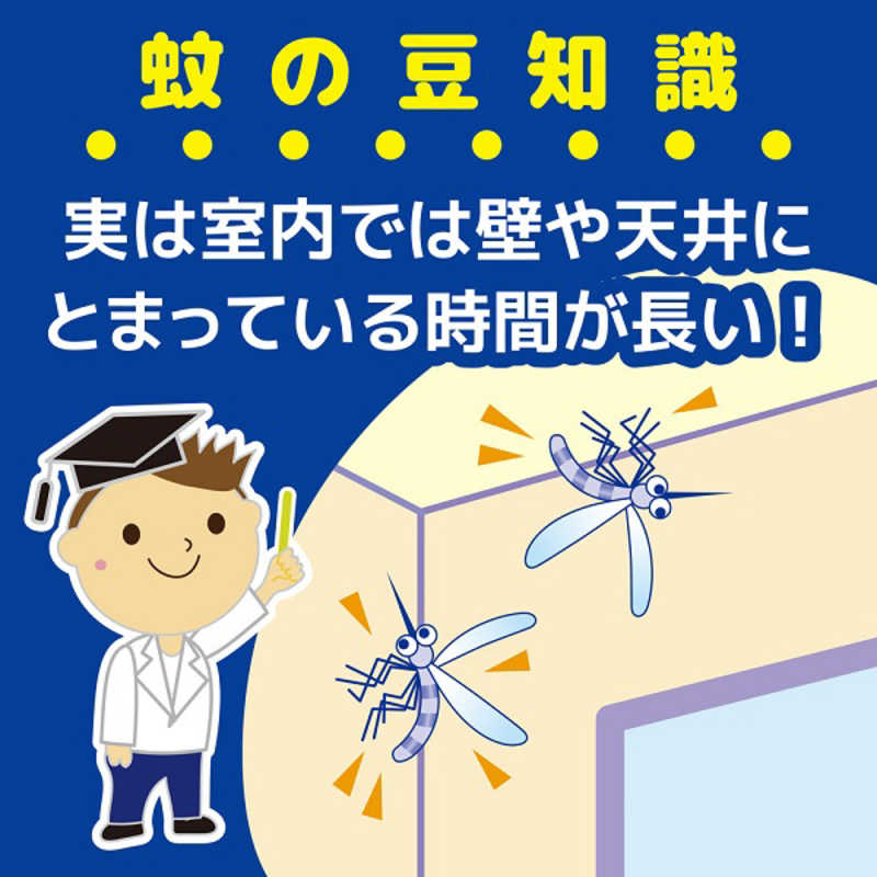 大日本除虫菊 大日本除虫菊 蚊がいなくなるスプレー 小空間用 60プッシュ 無香料  