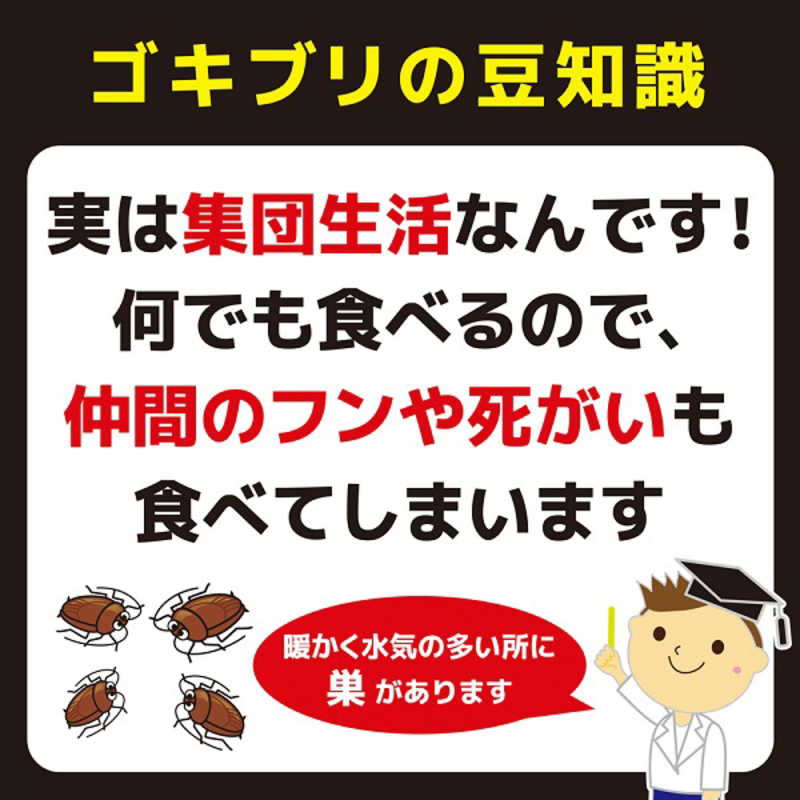 大日本除虫菊 大日本除虫菊 コンバット 玄関・ベランダ用 1年用 6個入 〔ゴキブリ対策〕  