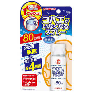 大日本除虫菊 コバエがいなくなるスプレー 80回用 無香料 (20ml) 