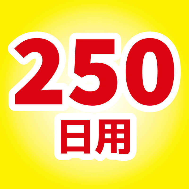 大日本除虫菊 大日本除虫菊 虫コナーズ アミ戸に貼るタイプ 250日用 (2個入)  