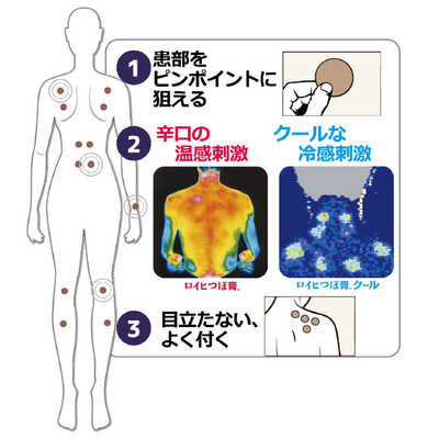 ニチバン 【第3類医薬品】ロイヒつぼ膏クール(156枚)☆セルフメディケーション税制対象商品 の通販 | カテゴリ：日用品・化粧品・医薬品 |  ニチバン | ﾛｲﾋ 家電通販のコジマネット - 全品代引き手数料無料