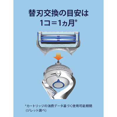 単品11個セット P&G スキンガードフレックスボールパワーホルダー 代引