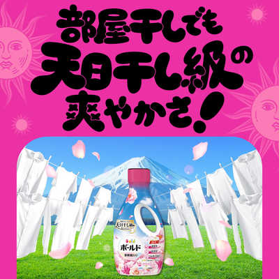 P＆G ボールド ジェル 華やかプレミアムブロッサムの香り つめかえ用