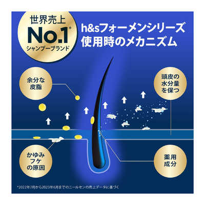 P＆G エイチアンドエス for men ゴールド2in1シャンプー オールド