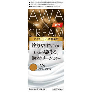 ホーユー ビゲン 泡クリームカラー 2N ブライトブラウン ビゲン ホーユー ビゲン 泡クリームカラー 2N ブライトブラウン ビゲン