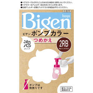 ホーユー ビゲン ポンプカラー 替 泡 明るいリッチブラウン