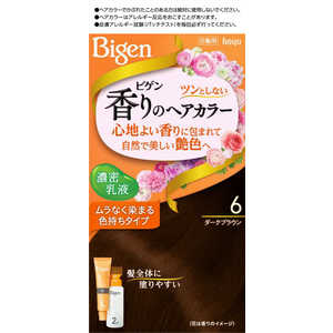 ホーユー 【Bigen】香りのヘアカラー 乳液 6 ダークブラウン 
