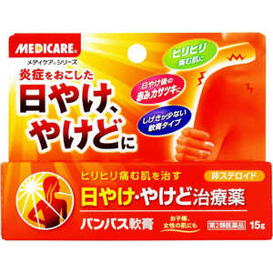 森下仁丹 【第2類医薬品】パンパス軟膏 (15g) 森下仁丹 【第2類医薬品】パンパス軟膏 (15g)