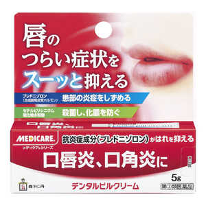 森下仁丹 【第(2)類医薬品】 メディケア デンタルピルクリーム(5g) 森下仁丹 【第(2)類医薬品】 メディケア デンタルピルクリーム(5g)