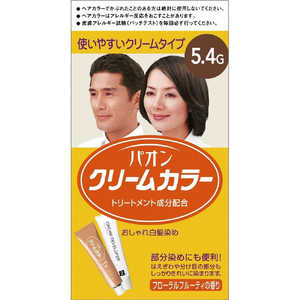 ĥեإ󥱥 ѥ ꡼५顼 5.4G ǻη