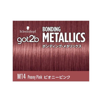 シュワルツコフヘンケル got2b(ゴットゥービー)ボンディング