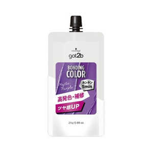 シュワルツコフヘンケル got2b ボンディング・カラーミニ ミスティックパープル25g G2BBカラミニMP