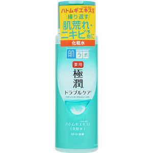 ロート製薬 肌研(ハダラボ) 極潤 薬用スキンコンディショナー(170ml)[化粧水] 