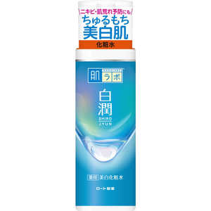 ロート製薬 肌研(肌ラボ)白潤 薬用美白化粧水 (170ml) 〔化粧水〕 