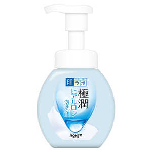 ロート製薬 肌ラボ 極潤ヒアルロン泡洗顔 160mL ゴクジユンHセンガン ロート製薬 肌ラボ 極潤ヒアルロン泡洗顔 160mL ゴクジユンHセンガン