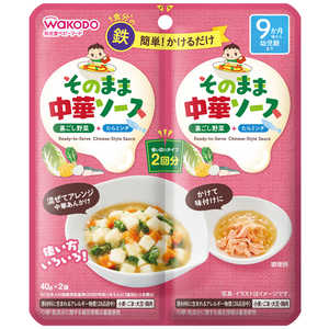 アサヒグループ食品 そのままソース 中華 40g×2 そのままソース