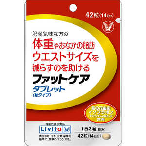 大正製薬 ファットケアタブレット(粒タイプ)42粒 