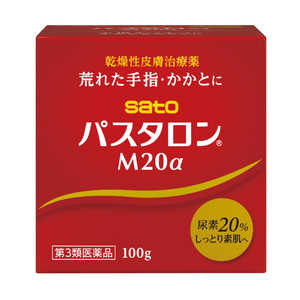 �p�X�^����M20�� 100g