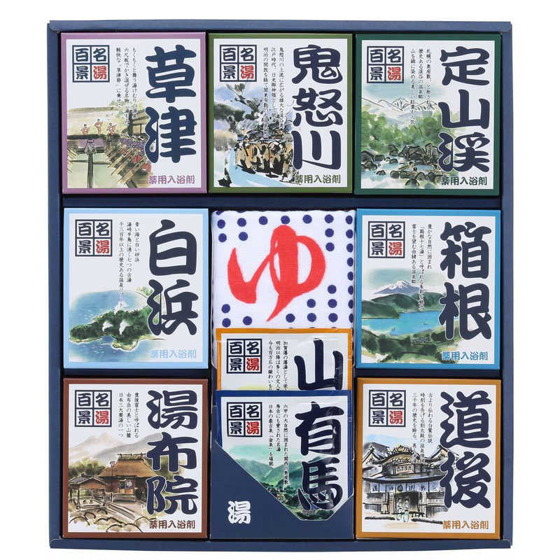 五洲薬品 五洲薬品 名湯百景 ギフト 入浴剤ギフト タオル付  