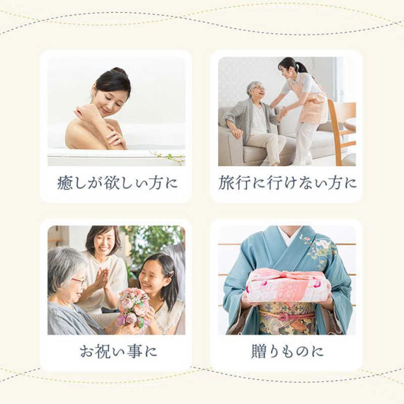 五洲薬品 五洲薬品 名湯百景 ギフト 入浴剤ギフト タオル付  