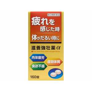 皇漢堂製薬 【第3類医薬品】滋養強壮薬α(160錠)〔ビタミン剤〕