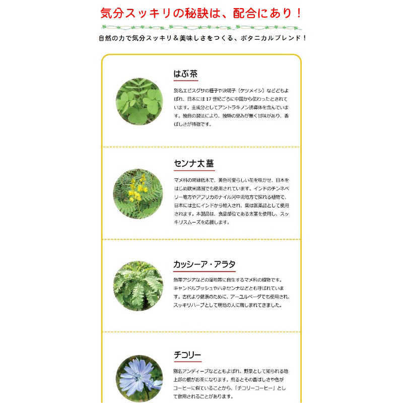 昭和製薬 昭和製薬 朝の宅配便NEW MAX 5gX24包  