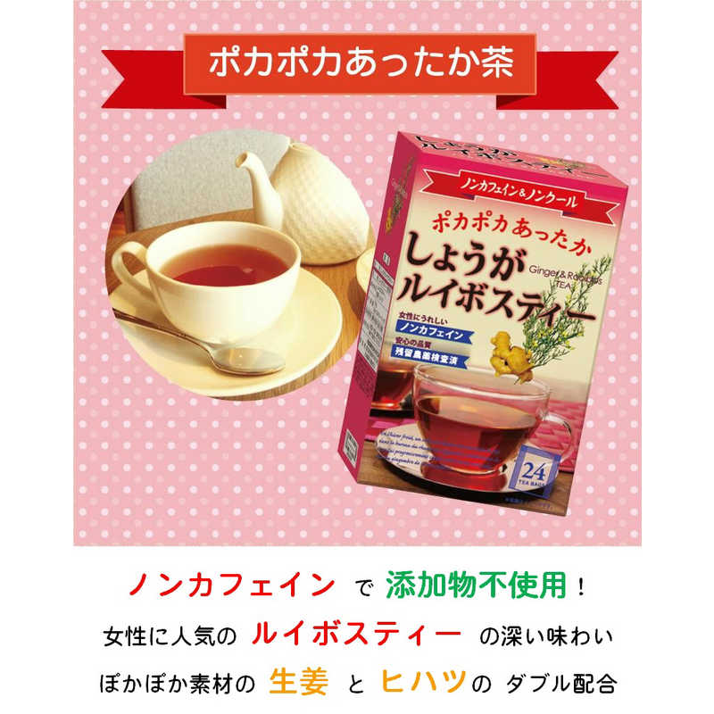 昭和製薬 昭和製薬 しょうがルイボスティー(24包)  