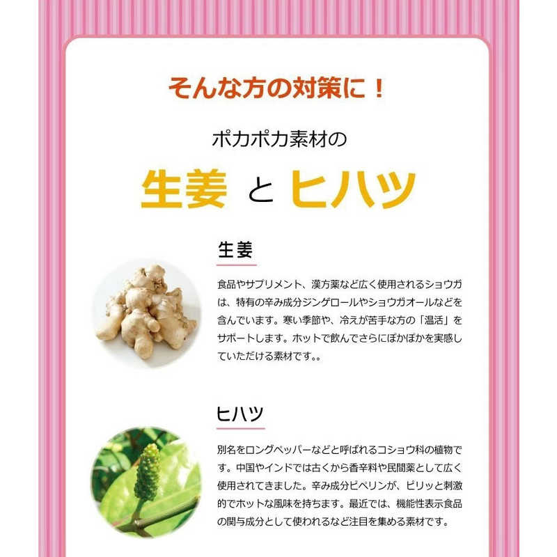 昭和製薬 昭和製薬 しょうがルイボスティー(24包)  