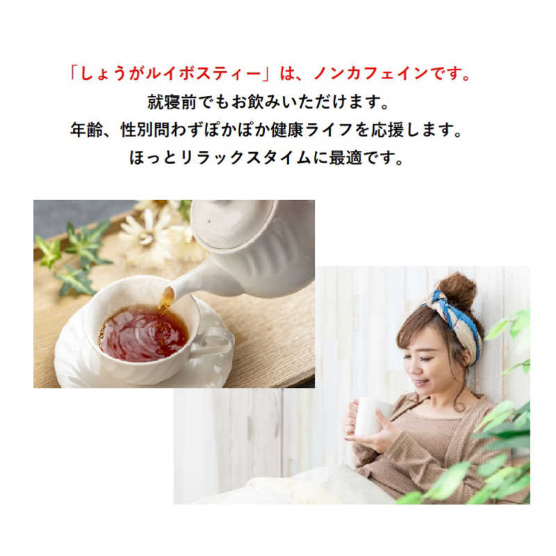 昭和製薬 昭和製薬 しょうがルイボスティー(24包)  