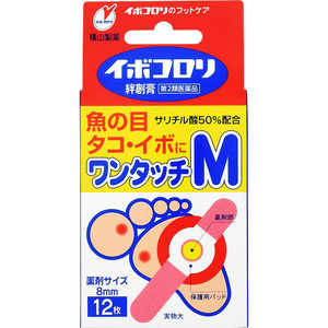 �C�{�R�����J�n�p M12��