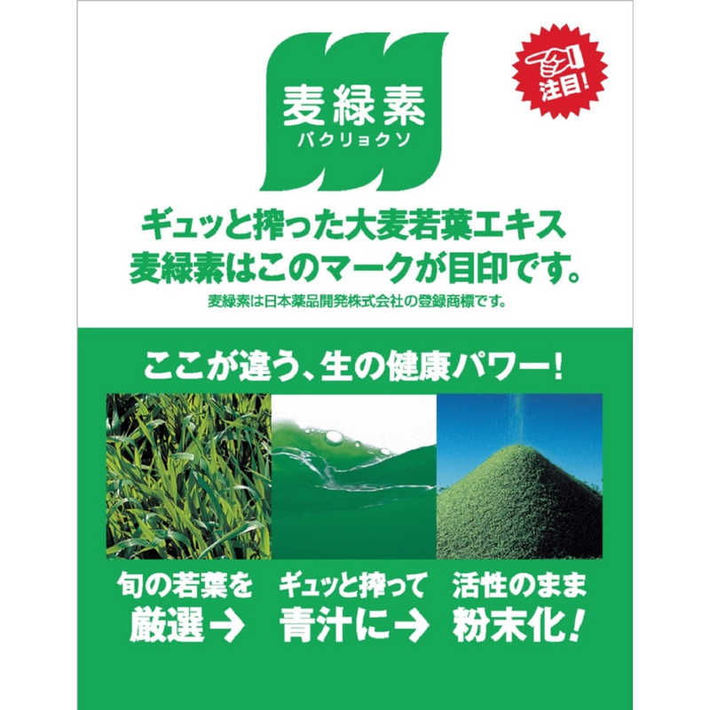 ケンプリア ケンプリア グリーンマグマ 3g×30包  