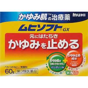 池田模範堂 【第3類医薬品】ムヒソフトGX(60g) ★セルフメディケーション税制対象商品 