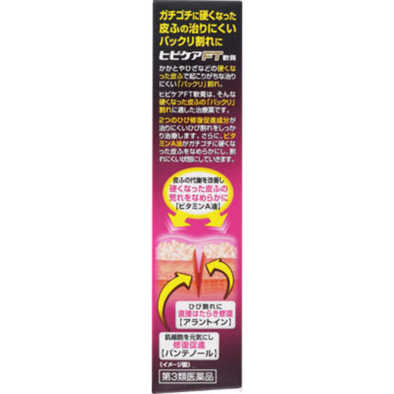 池田模範堂 池田模範堂 【第3類医薬品】ヒビケアFT軟膏(20g)  