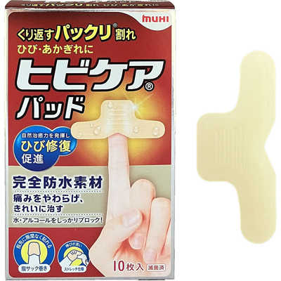 ぴかぴか出品 池田模範堂 10枚 の通販 - カテゴリ：日用品・化粧品・医薬品 - 池田