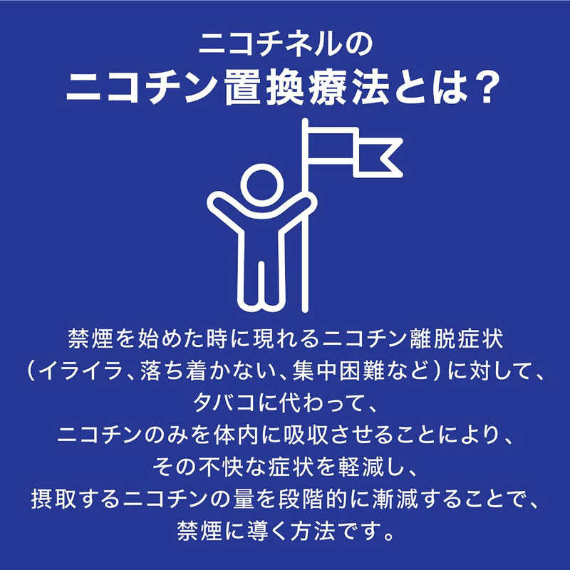 佐藤製薬 佐藤製薬 【第（2）類医薬品】ニコチネルスペアミント (20個) ★セルフメディケーション税制対象商品  