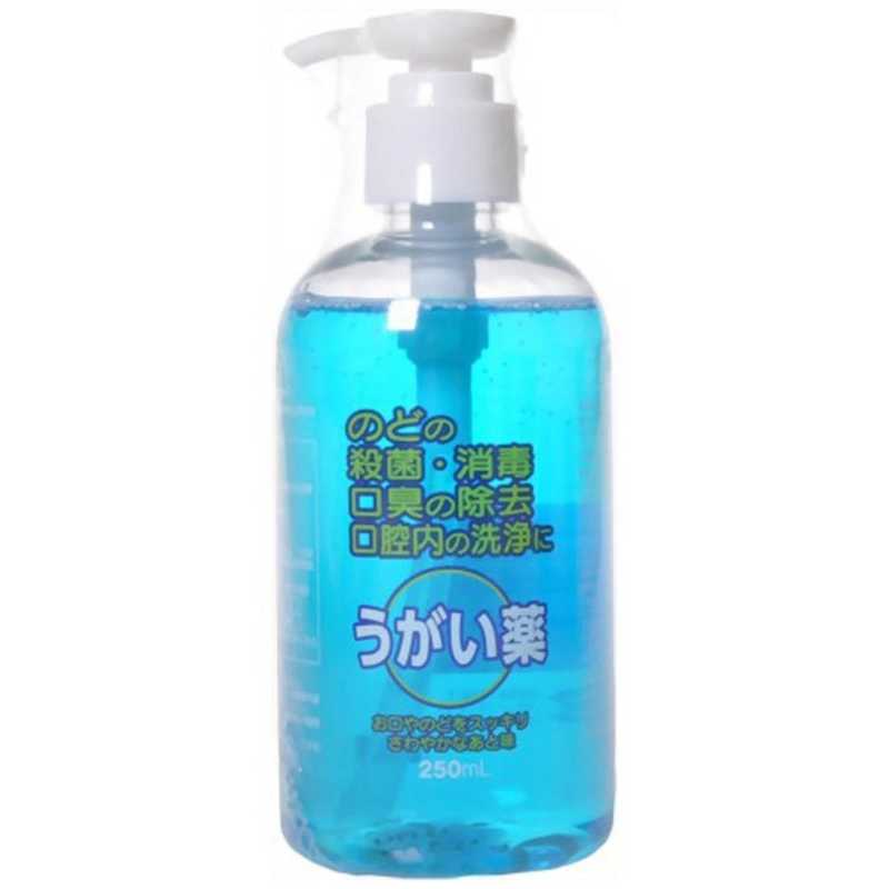福地製薬 福地製薬 エスコンうがい薬CP（250mL）【医薬部外品】 〔うがい・トローチなど〕  
