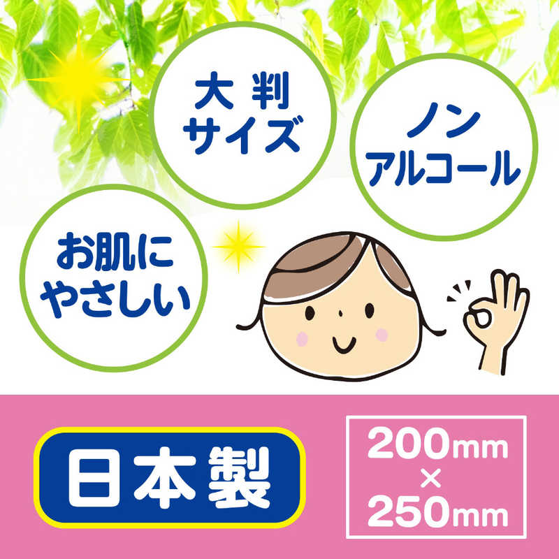 白十字 白十字 ｢サルバ｣からだふきふき ぬれタオル 60枚  