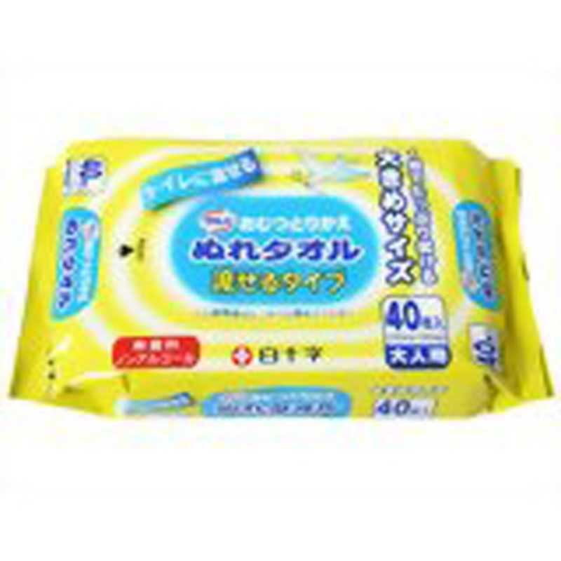 白十字 白十字 ｢サルバ｣おむつとりかえぬれタオル 流せるタイプ 40枚入  
