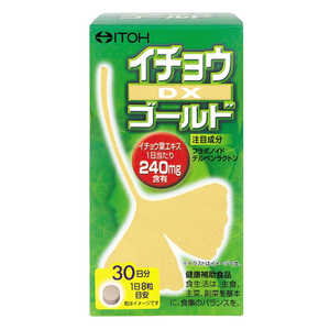 井藤漢方製薬 イチョウDXゴールド 240粒 井藤漢方製薬 イチョウDXゴールド 240粒