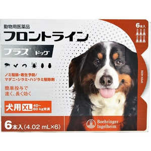 ベーリンガーインゲルハイムアニマルヘルス フロントラインプラス ドッグ 犬用 XL 40~60kg未満 6本入 (4.02ml×6) (動物用医薬品) ベーリンガーインゲルハイムアニマルヘルス フロントラインプラス ドッグ 犬用 XL 40~60kg未満 6本入 (4.02ml×6) (動物用医薬品)