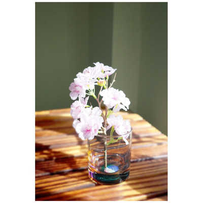 ビクターエンタテインメント サザンオールスターズ LIVE TOUR 2025